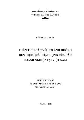 Luận án Phân tích các yếu tố ảnh hưởng đến hiệu quả hoạt động của các doanh nghiệp tại Việt Nam