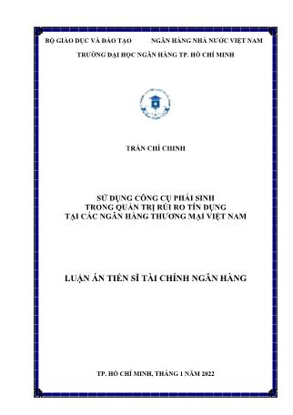Luận án Sử dụng công cụ phái sinh trong quản trị rủi ro tín dụng tại các ngân hàng thương mại Việt Nam
